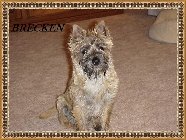 Brecken Scotch Of McBeth